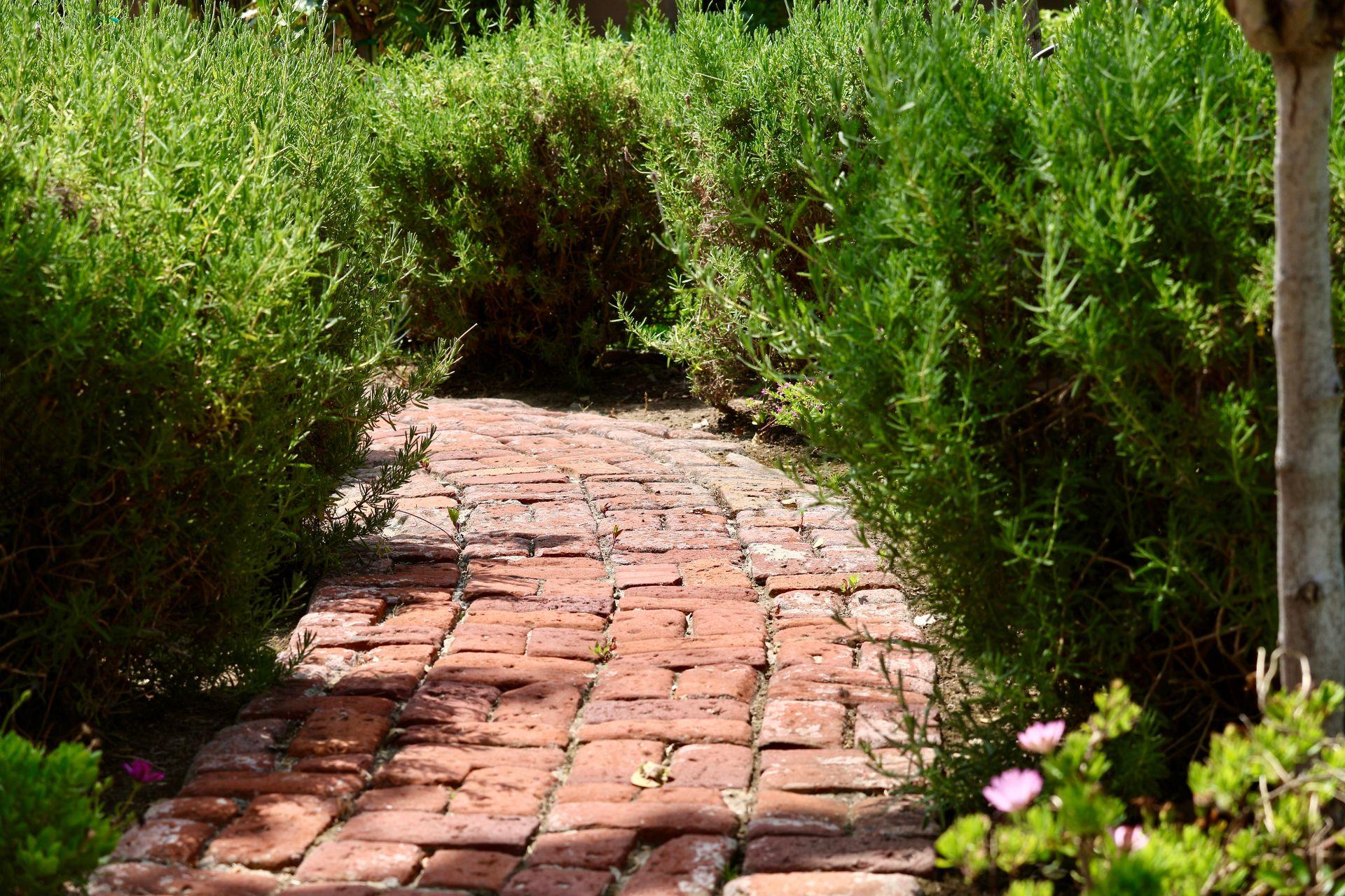 Ein schmaler, leicht gewundener Gartenweg aus roten Ziegelsteinen führt zwischen dichten, grünen Sträuchern hindurch. Die unregelmäßige Oberfläche erinnert an Kopfsteinpflaster und symbolisiert natürliche Alterung und Beständigkeit.